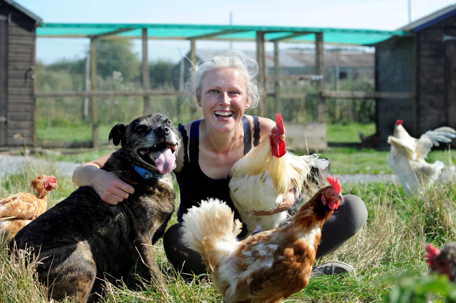 Love and loss at the world’s first animal hospice | The Scottish Banner