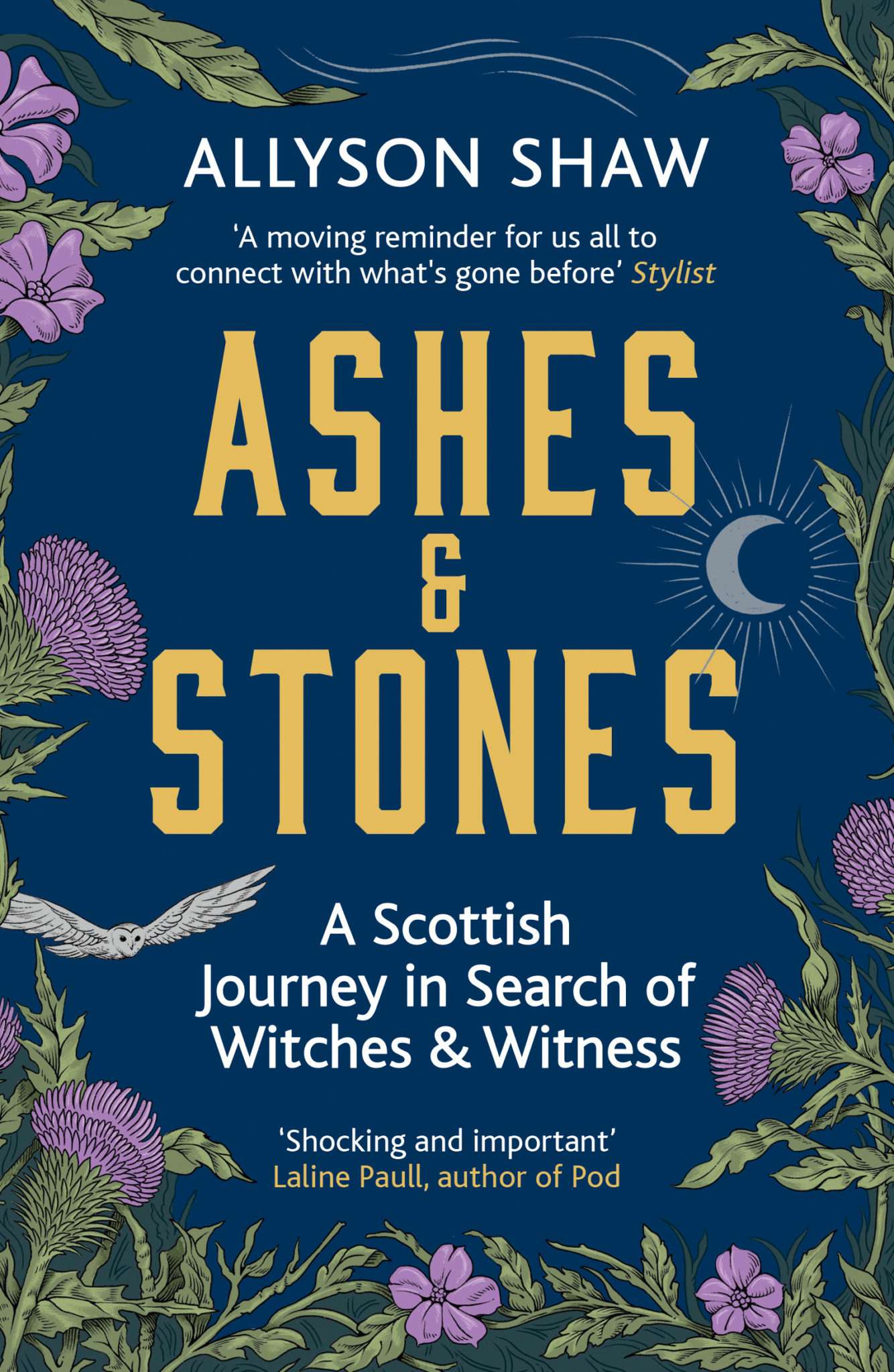 Ashes and Stones A Scottish Journey in Search of Witches and Witness